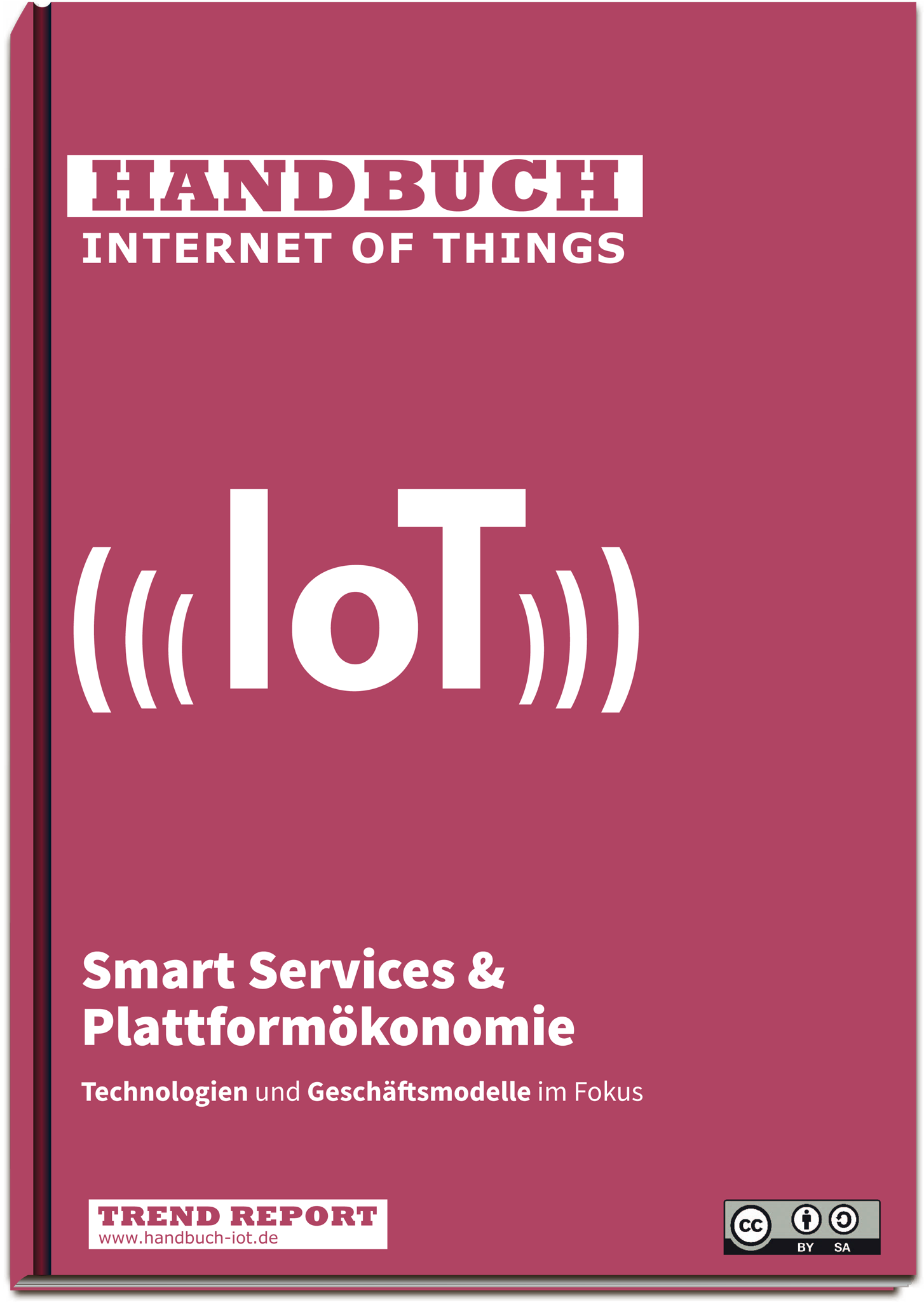 Cover Handbuch IoT